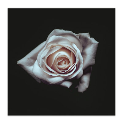 Print on Canvas
