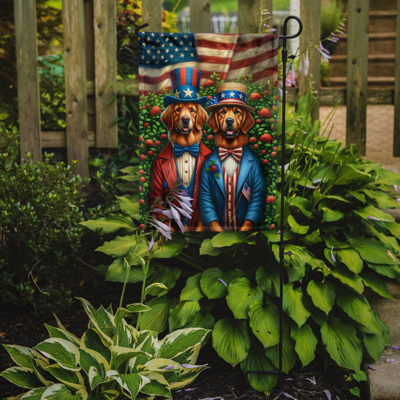 Drapeau All American Garden, Retriever de la Baie de Chesapeake