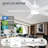 Smart Ceiling Fan With Light And Remote, 5 Dual-Sides Reversible Blades, Remote & App Control-305330929-304747188
