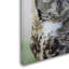 Ann «Grey Owl», reproduction de photo sur toile tendue Ann-24188873