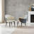 Modern Dining Chairs