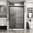 Double Sliding Shower Enclosure - 48" W X 72" H, Tempered Glass, Matte Black Frame, Stainless Steel Rings 48 In. 72 H Door Sliding, Clear Black, Specimens