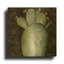 'Big Blooming Cactus II' By Cindy Jacobs Gold Metal Wall Art, 12" x 12"-634474219