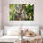 Australian Koala Bears-107922767