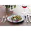Fortessa Sound 10.5" Dinner Plate-2042561080