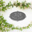 Monte Carlo Personalized Standard 2-Line Wall Address Plaque-2030835131-2030835133