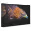 Golden Eagle Vol.3 - Wrapped Canvas Print-61852406