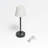 Akosua Metal USB Novelty Lamp