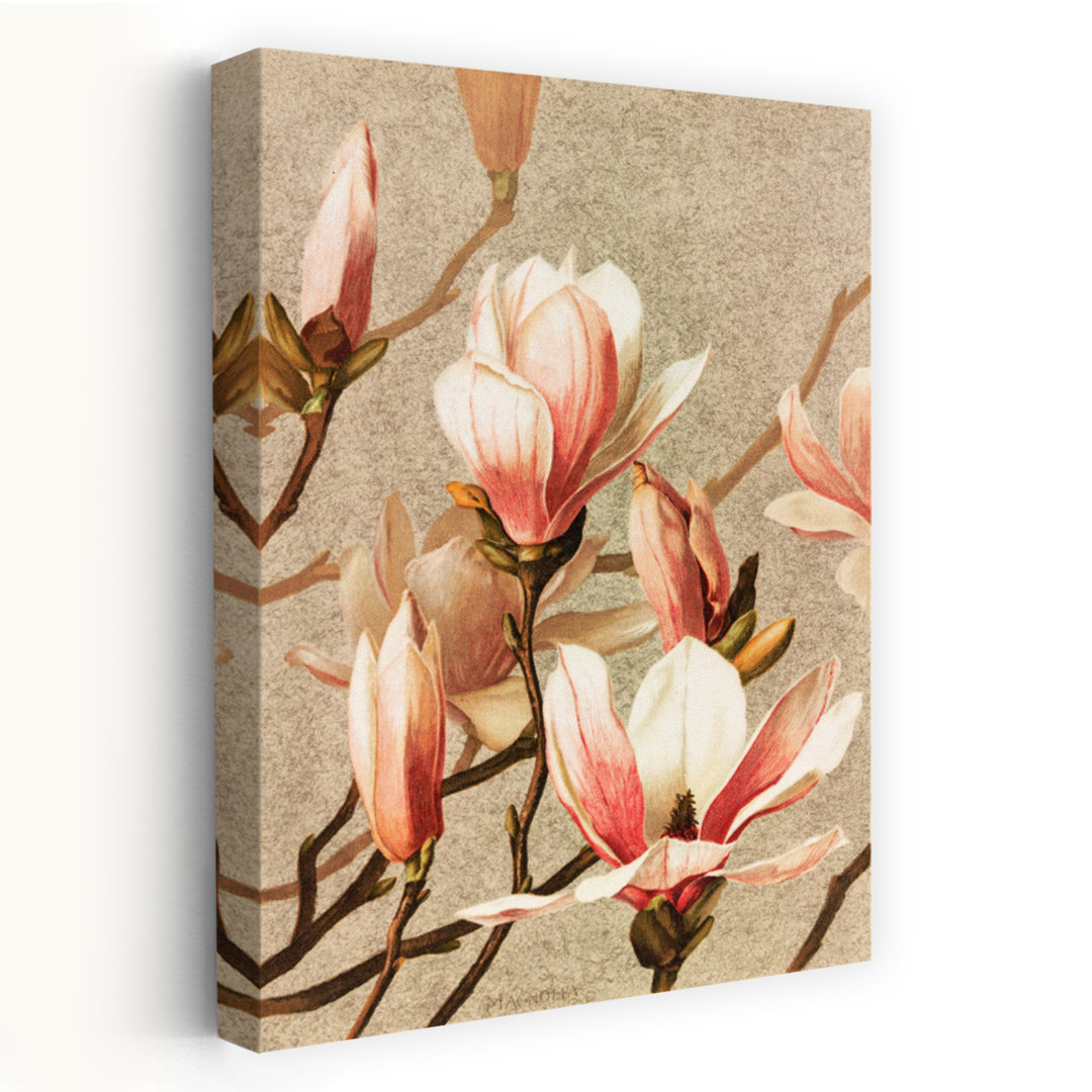 Magnolia Abstract Contemporary Wall Art Print