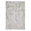 Mirage Cressie Machine Woven Grey Area Rug-1608491826