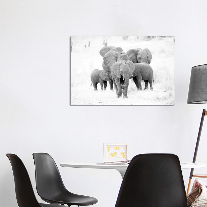 Elephant Family Black And White by David Whelan - Wrapped Canvas Gallery-Wrapped Canvas Giclée