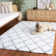 Brimfield Indie Shag Performance Geometric Rug