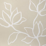 Floral Sketch Wp - Sage
