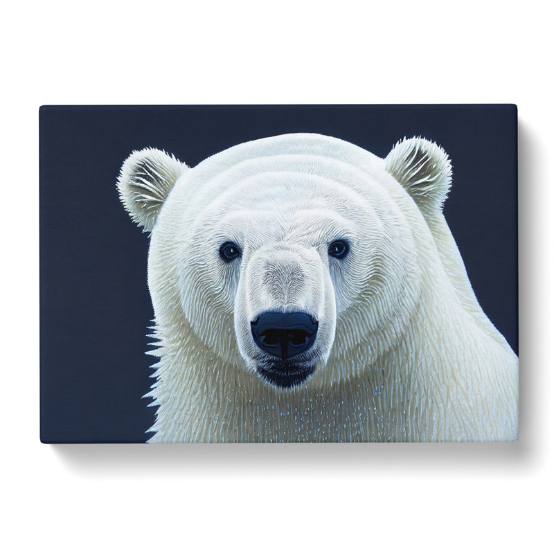 Engaging Polar Bear - Wrapped Canvas, 50cm H x 76cm W x 3cm D