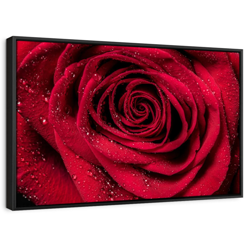 Velours rouge rosé sur toile, H 17 po x l 25 po