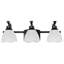 3 - Light Dimmable Bath Wall Sconce-562927678