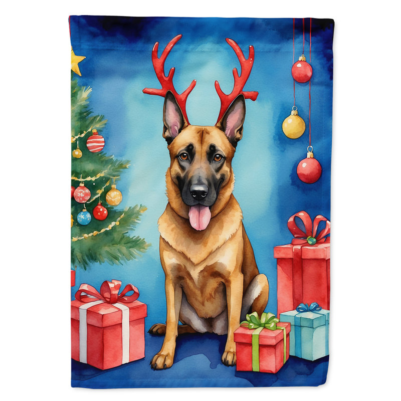 Drapeau de Noël renne de jardin, Malinois belge