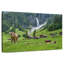 Alvord, Suisse, Highland Cows-107854211
