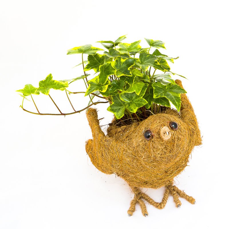 McMorran Statue Planter