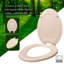 Siège de toilette allongé avec charnières réglables et retrait facile en bois moulé, taille standard-52989307