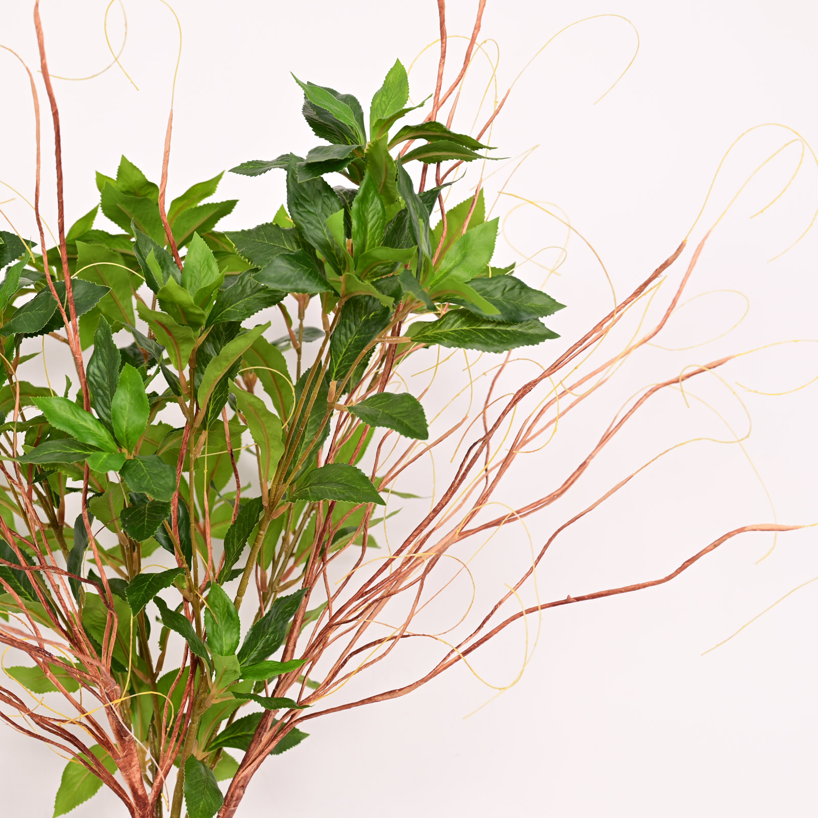 Foliage Leaf Stems