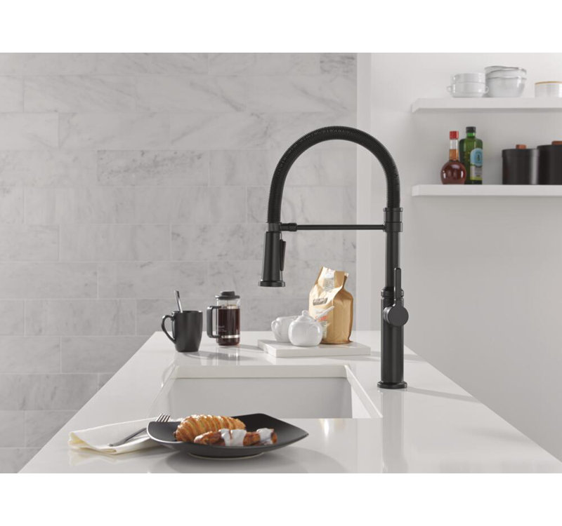 Robinet de cuisine Rhett Pro, Noir mat