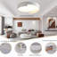 Dartisha 1 - Light Unique/Statement LED Chandelier