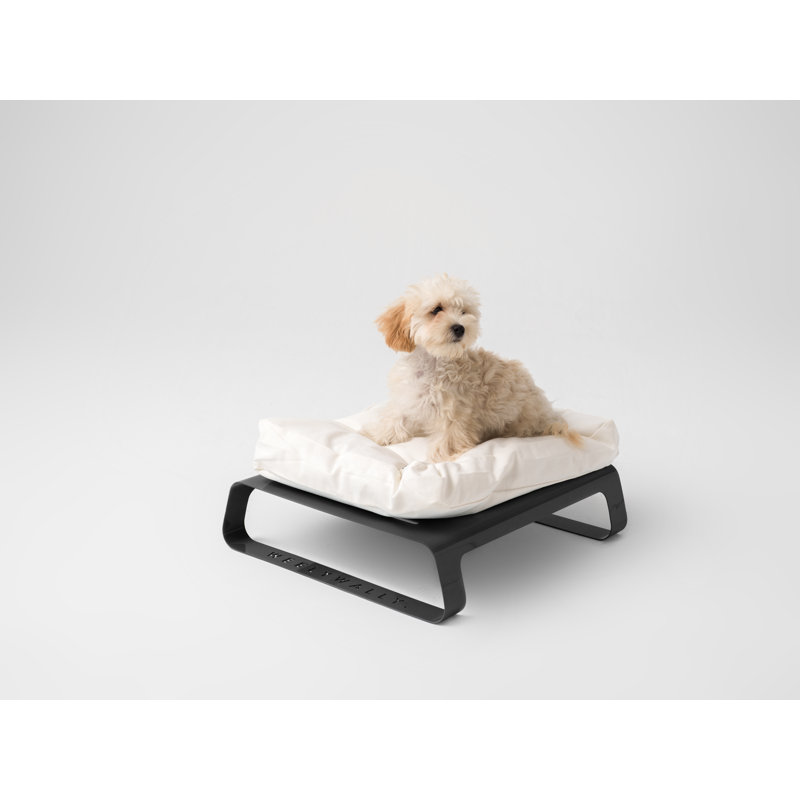 Coaling Orthopedic Cotton Elevated Pet Bed, Black