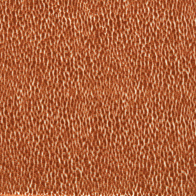 Reflect Lacuna Fabric
