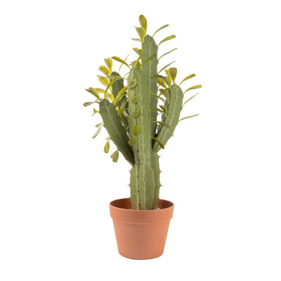 25'' Faux Cactus Plant in Pot