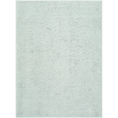 Barbaros Chenille Indoor Rug