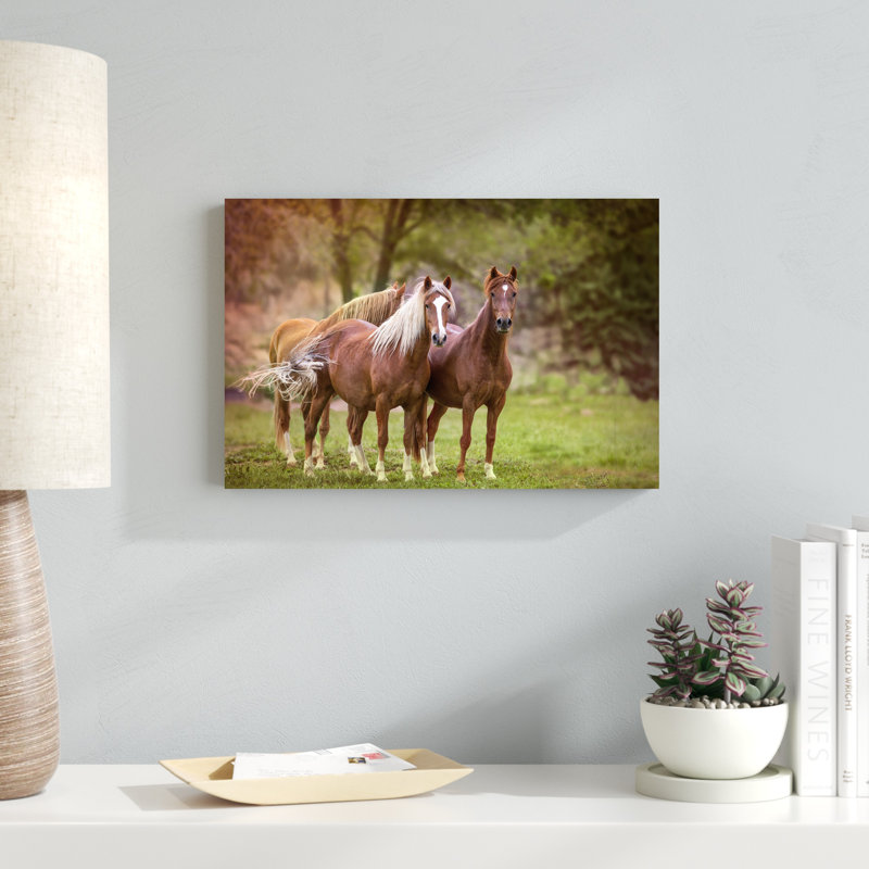 Chevaux dans le champ I, H 12 po x l 18 po x P 1,25 po