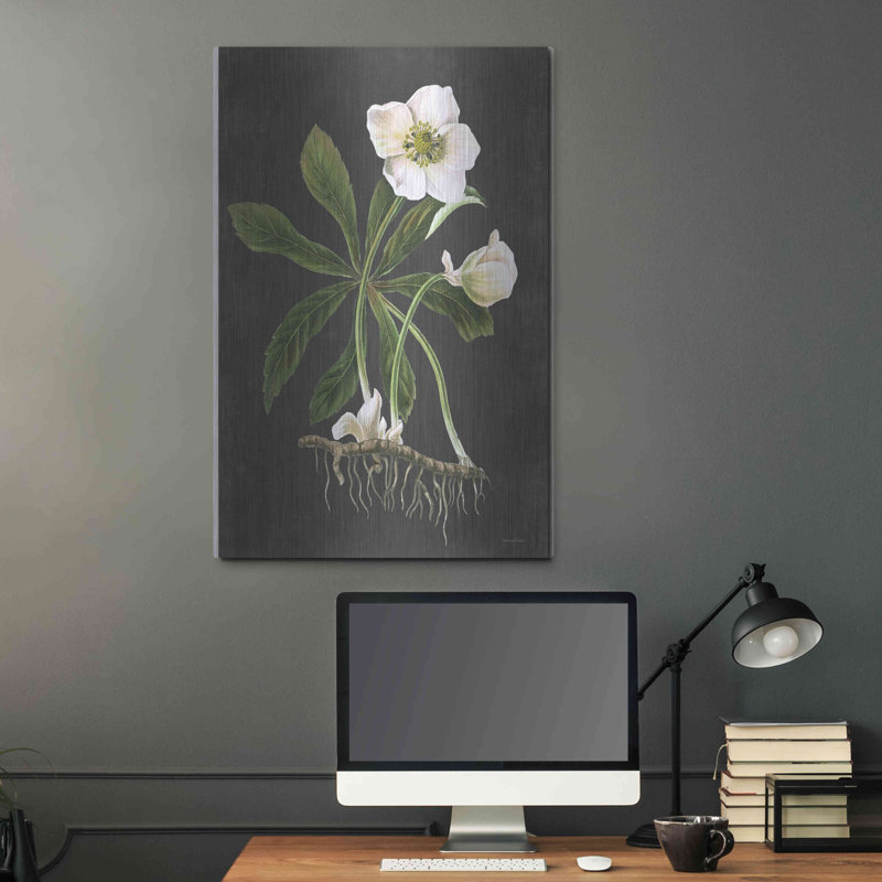 " Hellebore " by Lettered & Lined