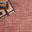 Morris Hand Woven Polyester Indoor/Outdoor Area Rug in Coral/Gray-1995416771