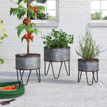 Buy online Toronto M Planter with Metal Stand - A planter with height 