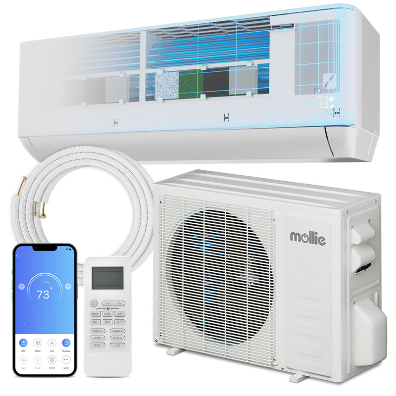 24000 BTU White Smart Control Ductless Mini-Split Heat Pump
