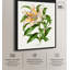 Toile Lilium Speccosum imperiale par Art Remedy-112532424-112532425-113439187