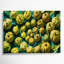 Art mural sur toile fruit vert-1764464103
