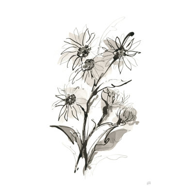 " Daisy I " by Chris Paschke