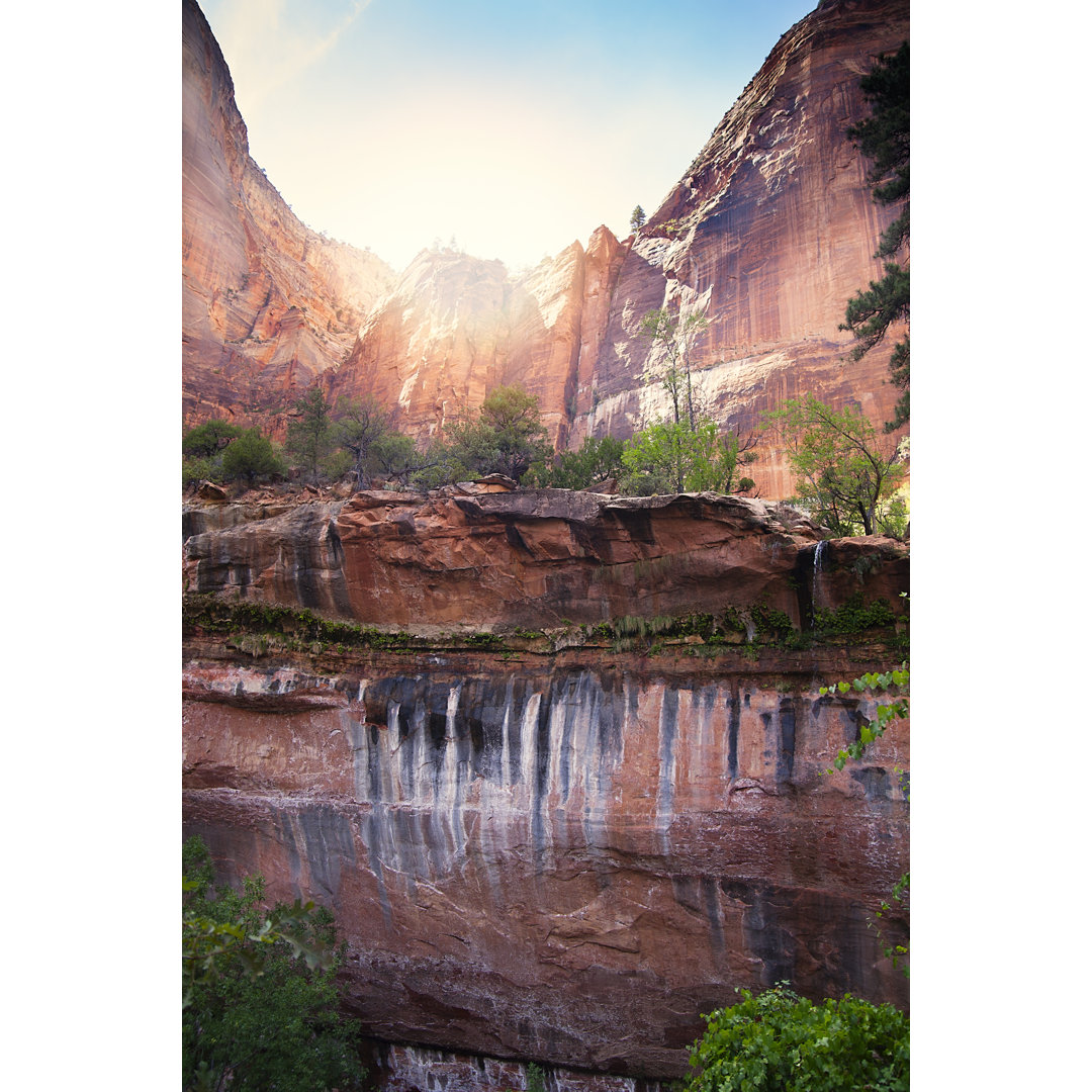 Zion National Park Felsen von Stellalevi - Druck