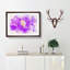 Jellyfish - Picture Frame Painting Print-56734196-56734197