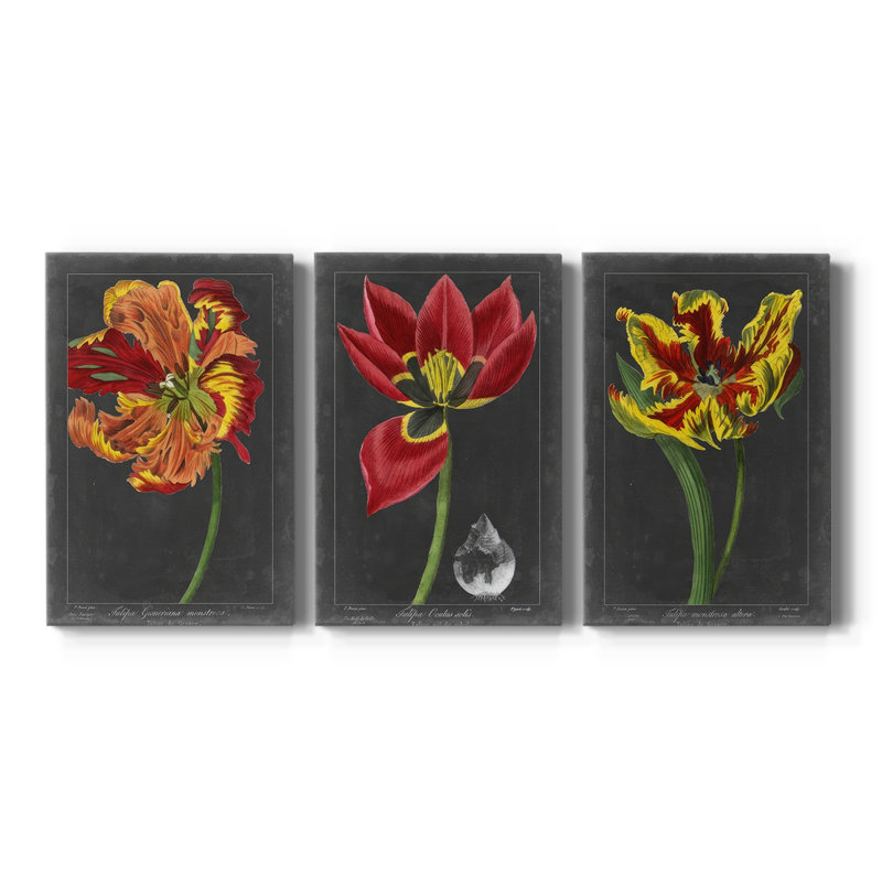 Midnight Tulip I - Toile tendue avec châssis sur mesure - 3 pièces, H 36 po x l 72 po