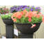 Canas Pot Planter-37333438