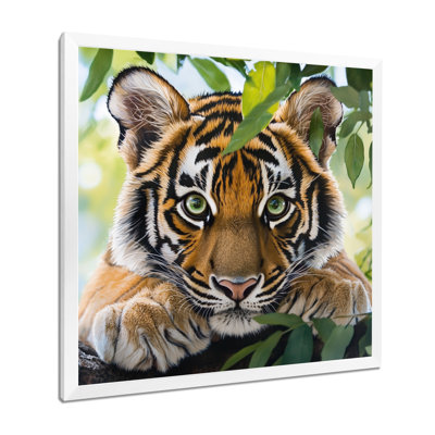Portrait de tigres - tigre, art mural