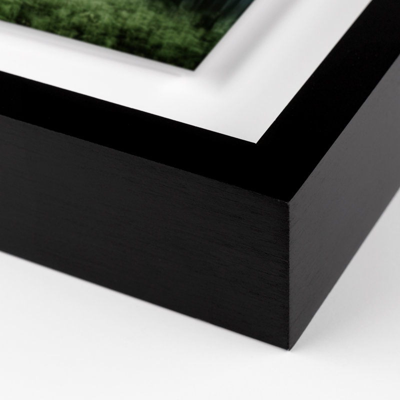 Eerie Trees IV Print by Jakob Wagner, 38" H x 60" W x 2.5" D, Black