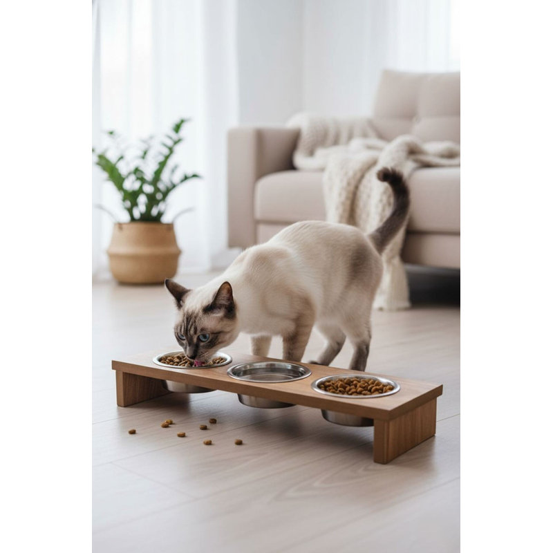 Bol pour nourriture pour animaux