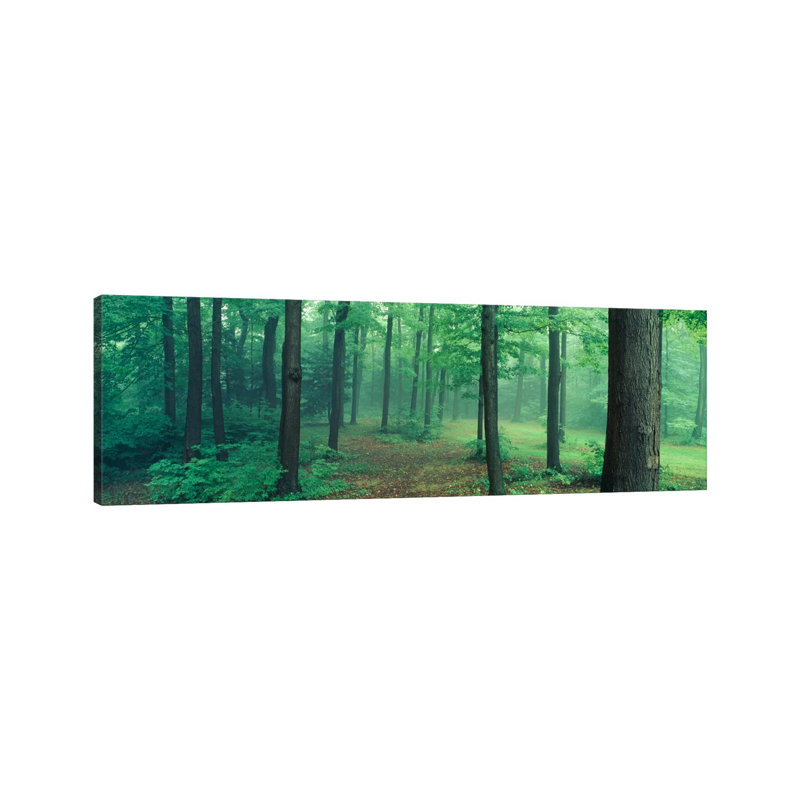 Chestnut Ridge Park, Orchard Park, New York State, USA by Panoramic Images - Wrapped Canvas Panoramic Gallery-Wrapped Canvas Giclée