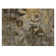Beveridge Abstract Indoor / Outdoor Rug