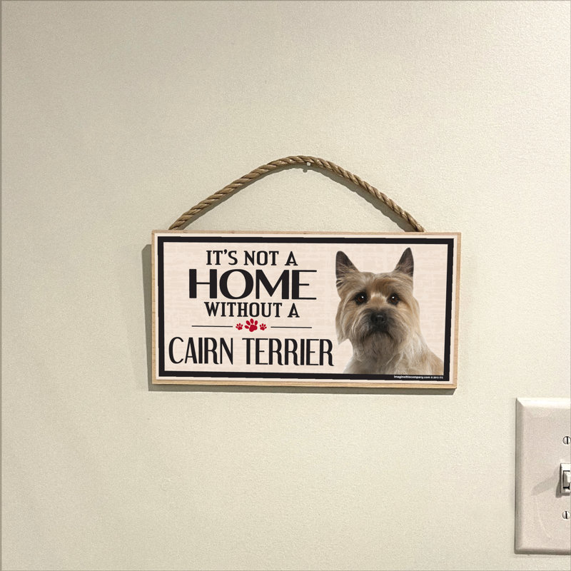 Ce n'est pas une maison sans notre enseigne de race Cairn Terrier