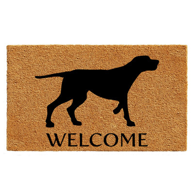Holenice Non-Slip Outdoor Doormat